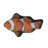 Clownfish kattenprooi